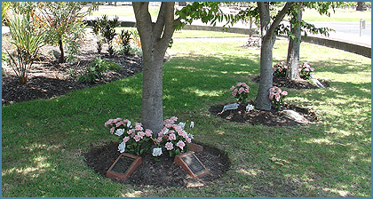 cremation services near me